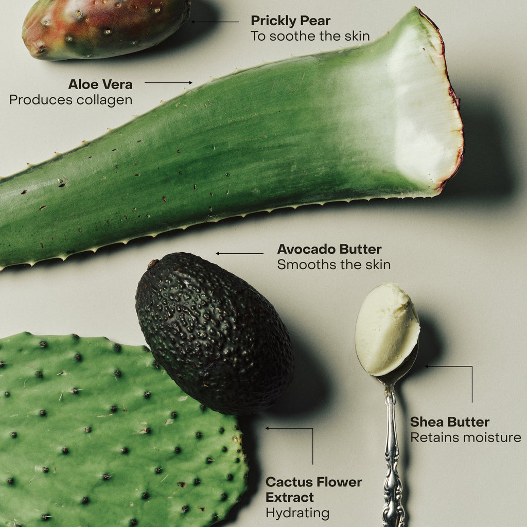 SIDIA - The Body Exfoliant -